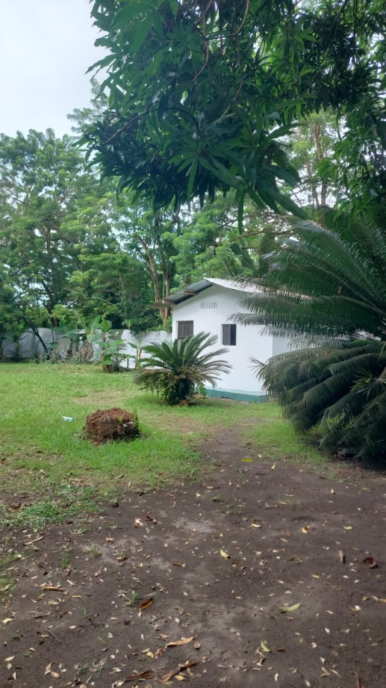 WhatsApp Image 2026-01-29 at 12.10.07 (2)