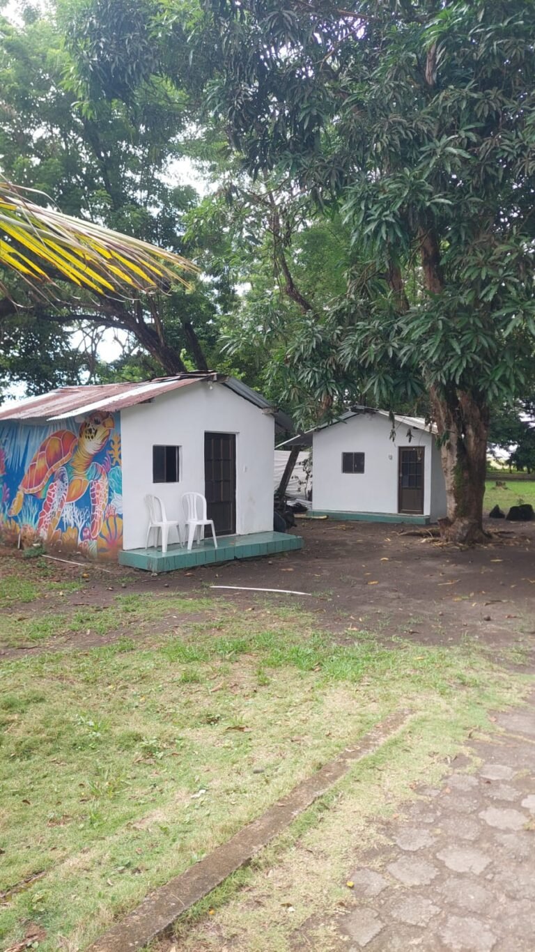 WhatsApp Image 2026-01-29 at 12.10.07