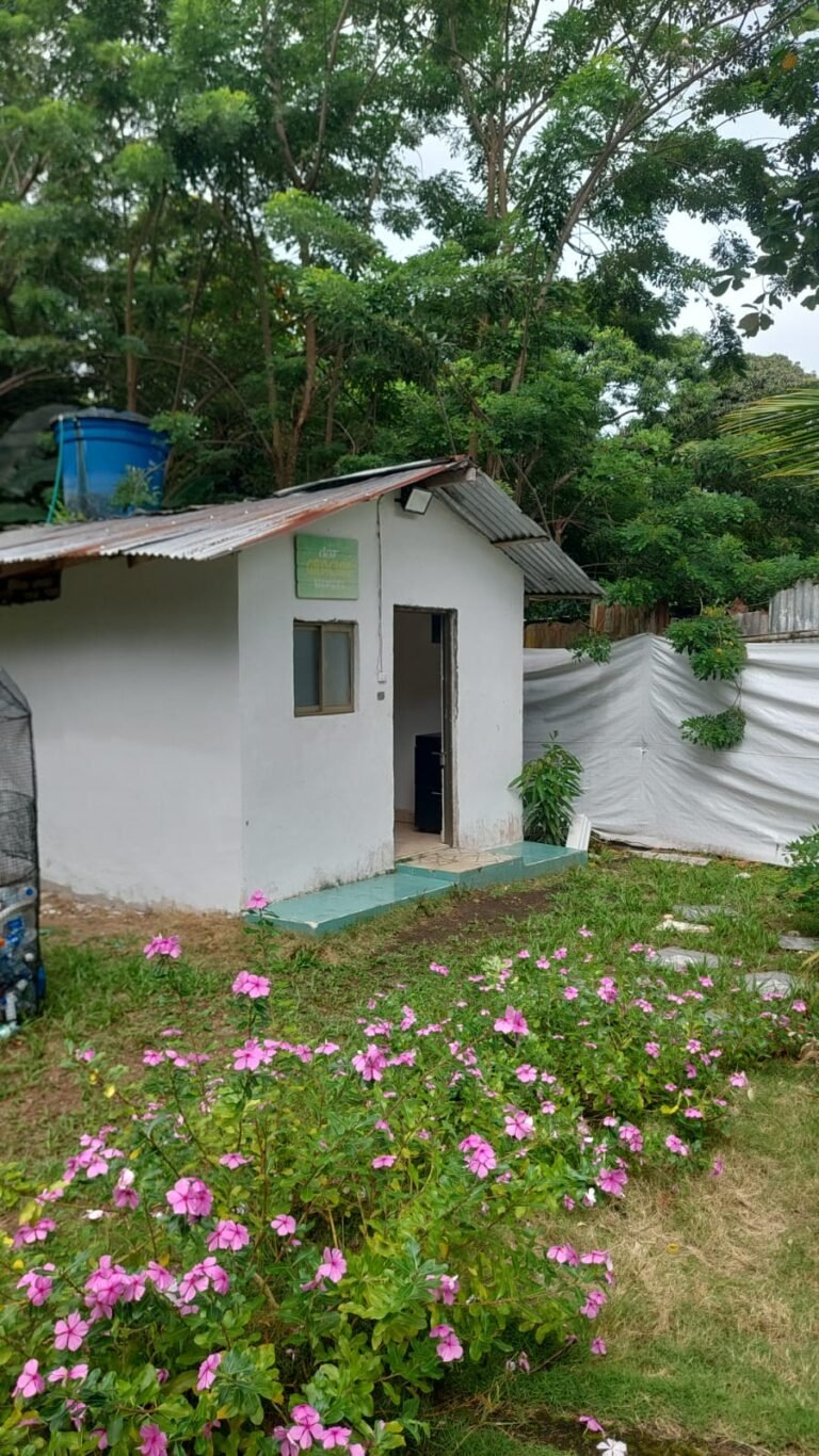 WhatsApp Image 2026-01-29 at 12.10.08 (2)