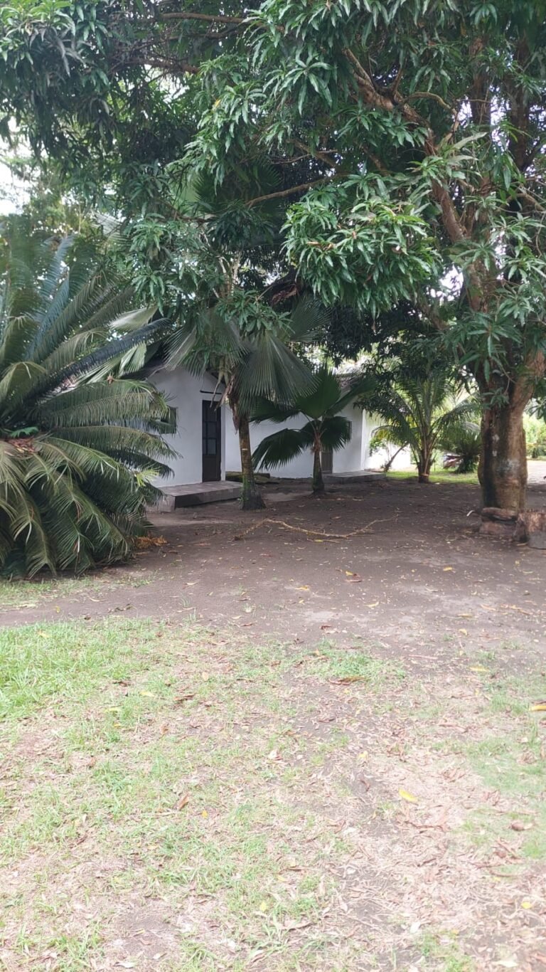 WhatsApp Image 2026-01-29 at 12.10.08 (4)